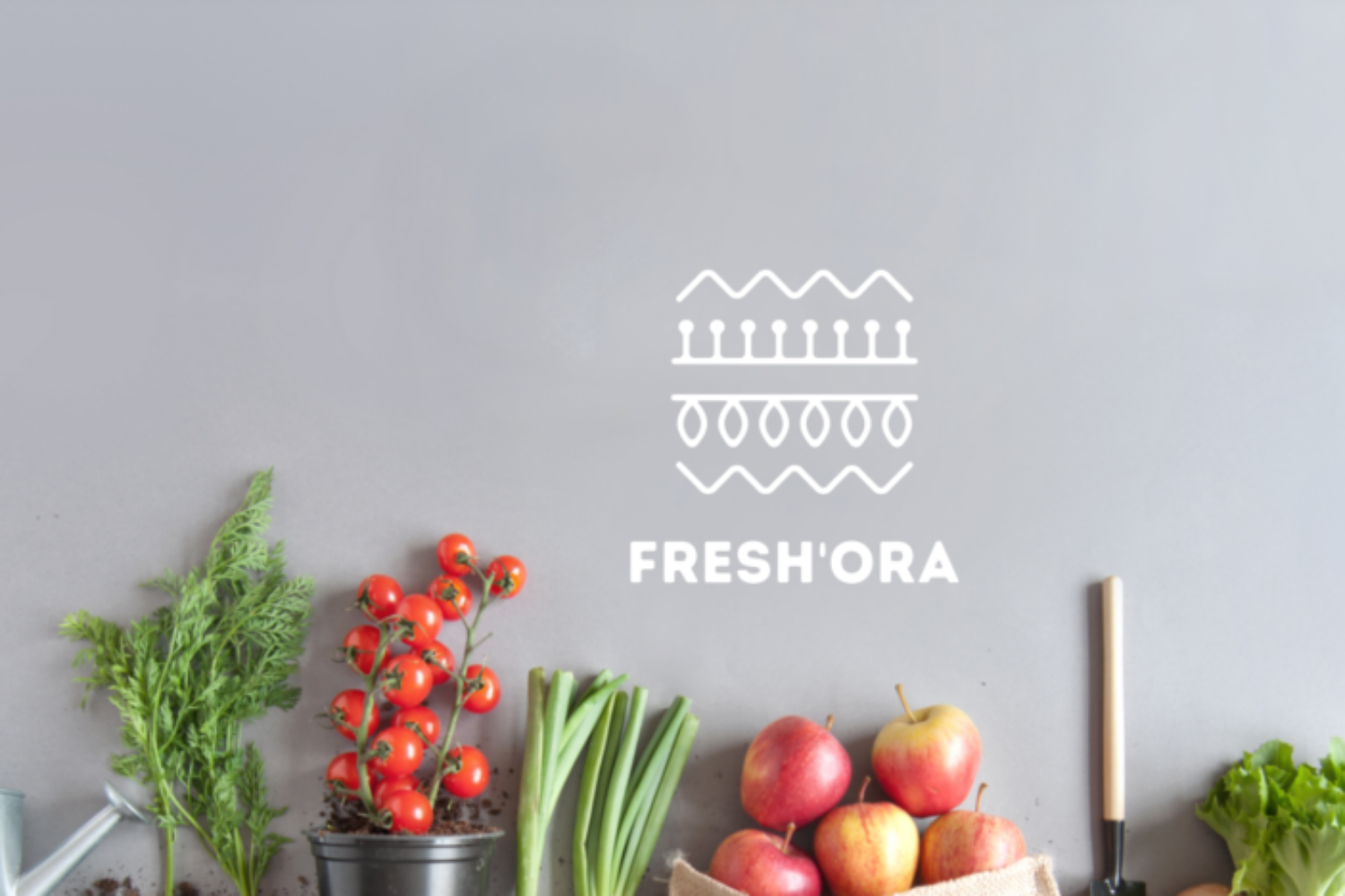REDSOYU_website_2023_FRESHO_header